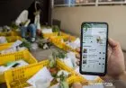 Digitalisasi Buat Perusahaan Lebih Kebal Krisis Selama Pandemi