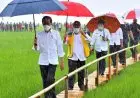 Jaga Ketahanan Pangan, PUPR Kembangkan Lumbung Pangan Berkelanjutan