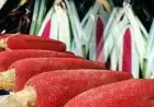 Manfaat Buah Merah Papua untuk Rambut dan Kulit