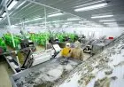 Raih Kontrak 90 Juta Dolar, PMMP Optimistis Capai Target 2021