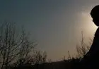 Ketika Aisyah Merasa Cemburu