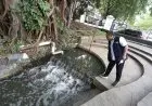 Dikabarkan Kotor dan Bau, Yana Minta DPU Teliti Air Sungai Balai Kota