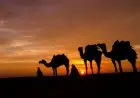 Kisah Abu Nawas: Tips Menyiasati Tukang Bohong
