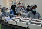 Menristek: Manufaktur dan Litbang Tingkatkan Produk Dalam Negeri