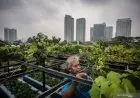Ketua Komisi V DPRD Jabar Dorong Pemprov Perhatikan Masyarakat Petani