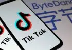 Pakistan Kembali Blokir TikTok