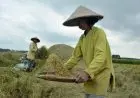 Wakil Ketua Baleg DPR RI Dorong Pembentukan Lembaga Pangan Nasional