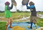 Petani Milenial Pemegang Modal Utama Calon Petani