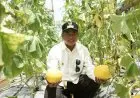 Uu Ruzhanul Apresiasi Ponpes yang Punya Kemandirian Ekonomi