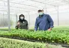 Desy Ratnasari Kunjungi Taman Teknologi Agribisnis IPB, Ada Apa?