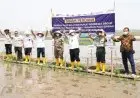 Petani Binaan Agrosolution Pupuk Kujang Tanam Padi Perdana Bersama Wamentan