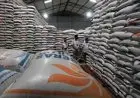 Kemampuan Bulog Serap Hasil Panen Petani Dipertanyakan