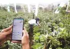 Petani Milenial Cikal Regenerasi