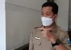 Masyakarat Kota Bandung Diminta Waspadai Pohon Tumbang