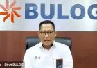 Bulog Prediksi Stok Beras 1,4 Juta Ton hingga Mei