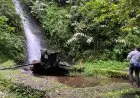 Menjaga Habitat Elang Inspirator Garuda di Gede Pangrango