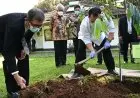 SEAMEO Biotrop Teliti Manfaat Minyak Atsiri untuk Covid-19