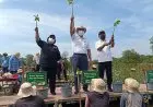 Rehabilitasi Mangrove, KLHK Dapat Tambahan Anggaran Rp1,52 Triliun