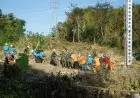PLN Berhasil Membangun Tower Emergency di Pulau Timor NTT