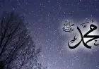 Kecerdasan Rasulullah Ketika Berhumor