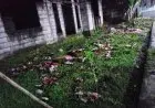 Dua Tahun, Rumah Warga Kampung Cilubang Tergenang Luapan Air Selokan