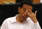 Soal Jokowi Ingin Reshuffle Kabinet, Ini Kata Jubir Fadjroel Rachman