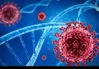 Varian Virus Covid-19 India Terdeteksi di Malaysia