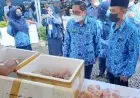 Daging Sapi Import asal Spanyol Dijual Rp 80 Ribu Perkilogram