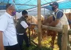 Daging Sapi Beku Dijamin Berkualitas dan Halal, Diskanak Ajak Masyarakat Mengkonsumsi