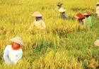 DPRD Jabar Dorong Pemprov Bangun Kaderisasi Petani