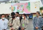 Dua Menteri Lepas Ekspor Tanaman Hias Minaqu Home Nature 
