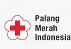 Hari Palang Merah Sedunia, Serba-serbi Lembaga Kemanusiaan