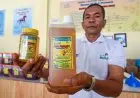 Bangkit dari Pandemi, PLN Salurkan Bantuan Rp349 Miliar untuk 43.958 UMKM