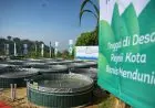 Sikap Kami: Mencintai Petani
