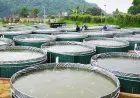 HKTI Jabar Minta Peserta Petani Milenial Optimistis Ikuti Program