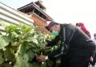Buruan SAE Hadir di Rooftop Masjid Kalijaga