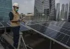 Pengamat: Pemerintah Perlu Dukung Pemanfaatan Energi Surya