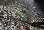 Foto: Sampah Sungai Citepus