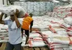 KTNA Jabar Imbau Petani Gunakan Pupuk SNI