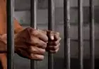 Napi Kabur dari 2016 Baru Ketangkap Sekarang