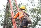 PLN Jabar Prioritaskan Pasokan Listrik untuk RS Rujukan Covid-19