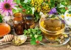Herbal untuk Pasien Covid-19 Bergejala Ringan yang Perlu Diperhatikan