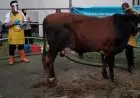 Masih PPKM Darurat, Salat Idul Adha di Kota Bandung Kemungkinan Ditiadakan