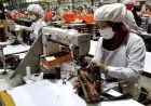 PPKM Darurat, Sektor Usaha Ekspor Tanggung Ongkos Produksi Dua Kali Lipat