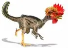 Rekayasa Genetik Ayam Kembali Berwujud Dinosaurus