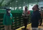 Langgar PPKM Darurat, Empat Pabrik di Sumedang Dikenai Sanksi Tipiring