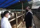 Hewan Kurban Kota Bogor Potongnya di RPH Saja