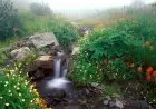 Sungai Surga dari Susu, Khamar, dan Madu