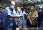 Peternakan Modern IPB University Panen 42.700 Ekor Ayam