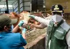 Bupati Dadang Supriatna Minta Kurban Dilakukan di RPH